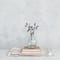 Hello Honey® 9.75" Clear & Light Green Round Serene Glass Vase